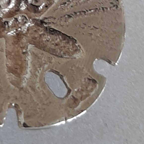 Sand dollar pendant - Picture 2 of 4